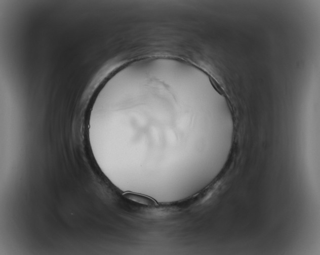 X0000086020103200704131858