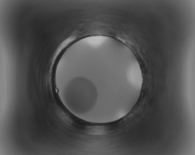 X0000086020104200704131858
