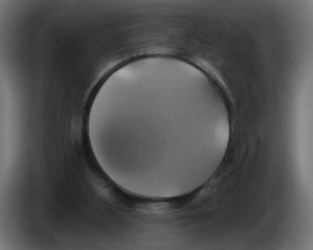 X0000086020108200704131858