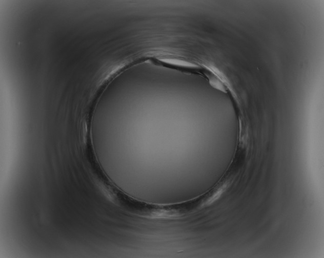 X0000086020109200704131858