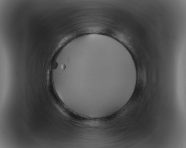 X0000086020110200704131858
