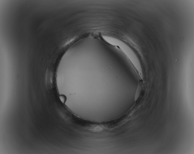 X0000086020115200704131858