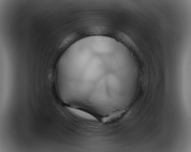 X0000086020119200704131858