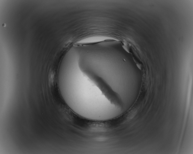 X0000086020123200704131858