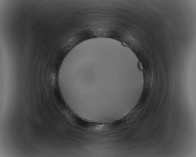 X0000086020130200704131858
