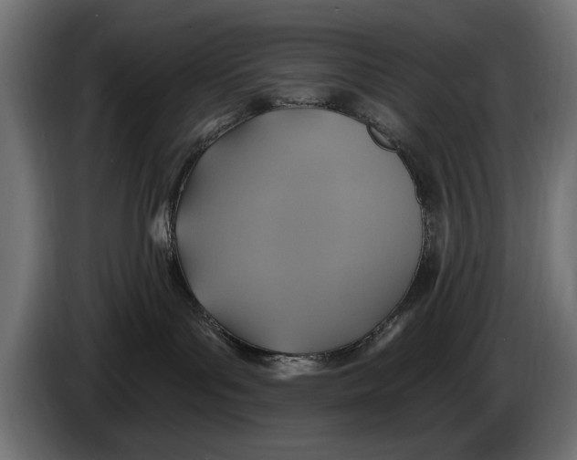 X0000086020143200704131858