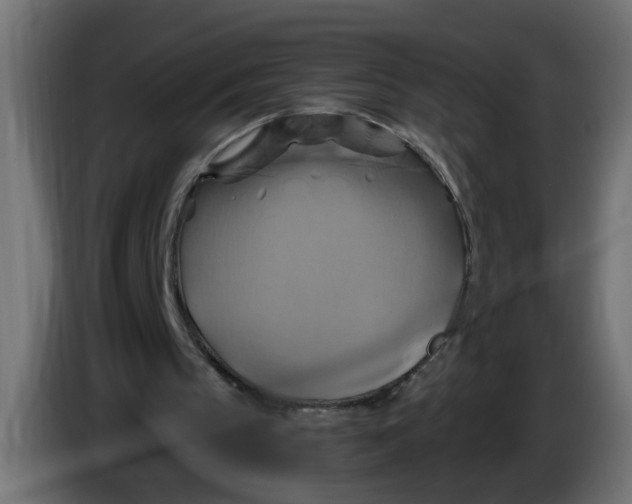 X0000086020145200704131857