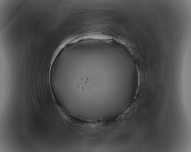 X0000086020147200704131857