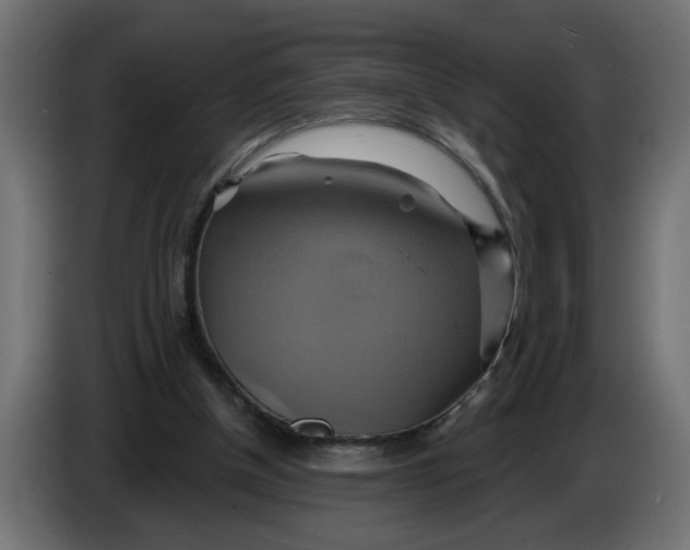 X0000086020154200704131857