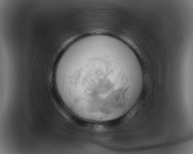 X0000086020159200704131857