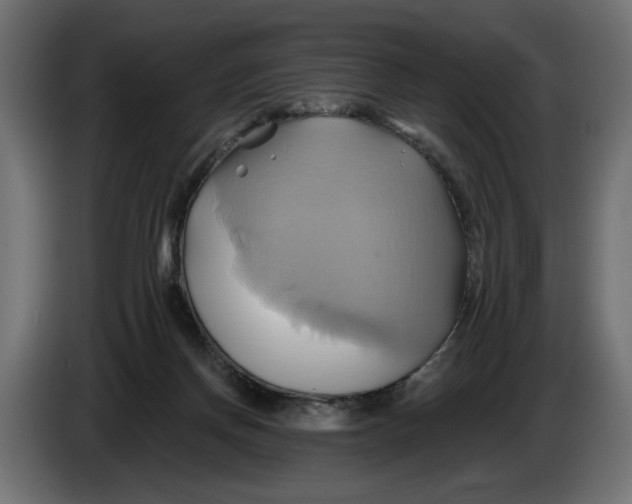 X0000086020166200704131857