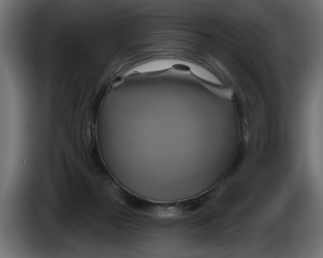 X0000086020169200704131858