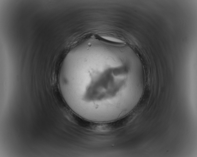 X0000086020173200704131858
