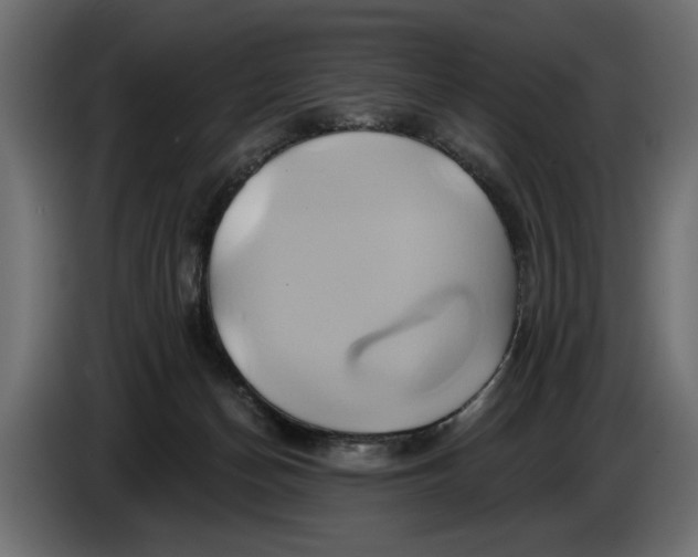 X0000086020174200704131858