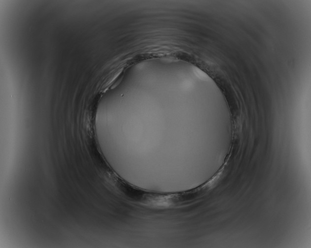 X0000086020178200704131858