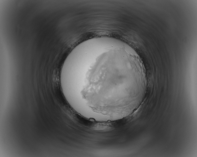 X0000086020179200704131858