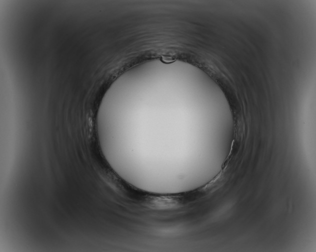 X0000086020183200704131858