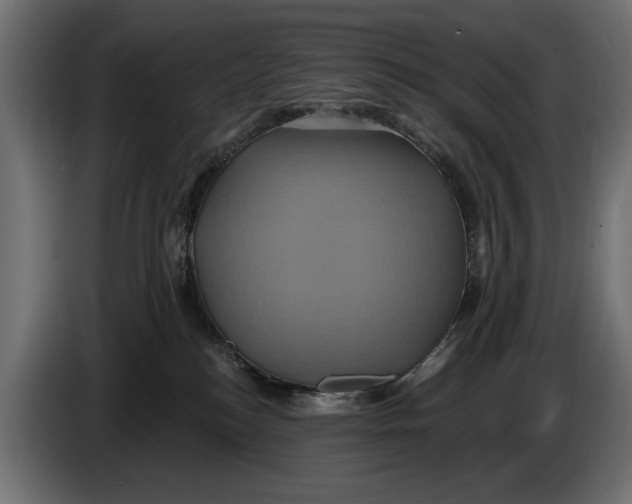 X0000086020184200704131858