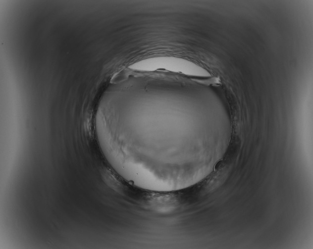 X0000086020185200704131858