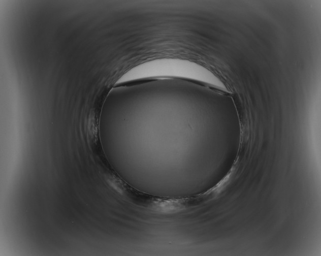 X0000086020186200704131858