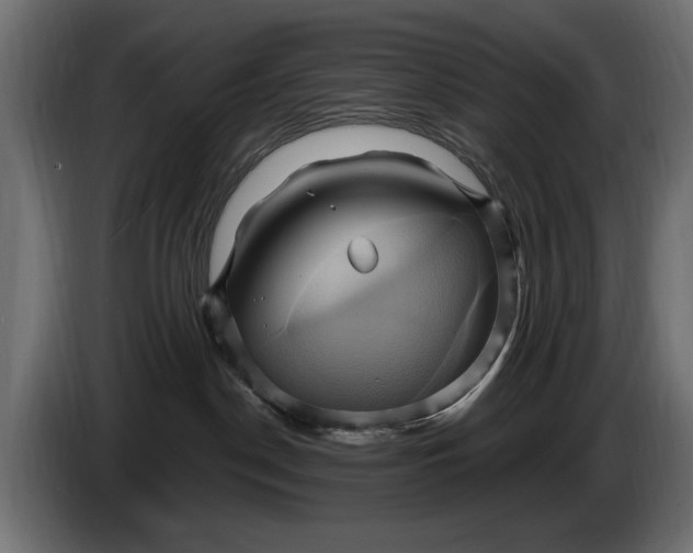 X0000086020190200704131858