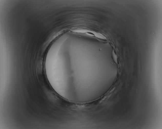 X0000086020194200704131857