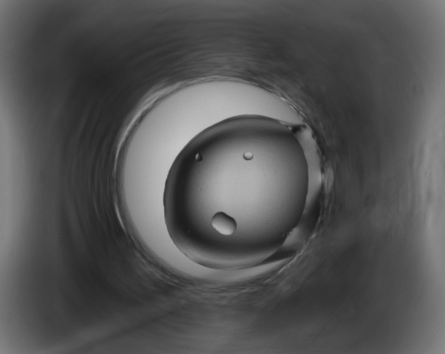 X0000086020195200704131857