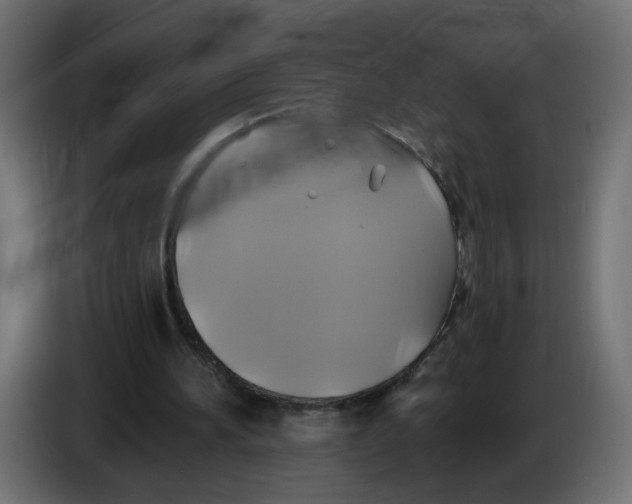 X0000086020196200704131857