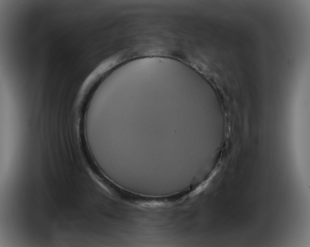 X0000086020197200704131857