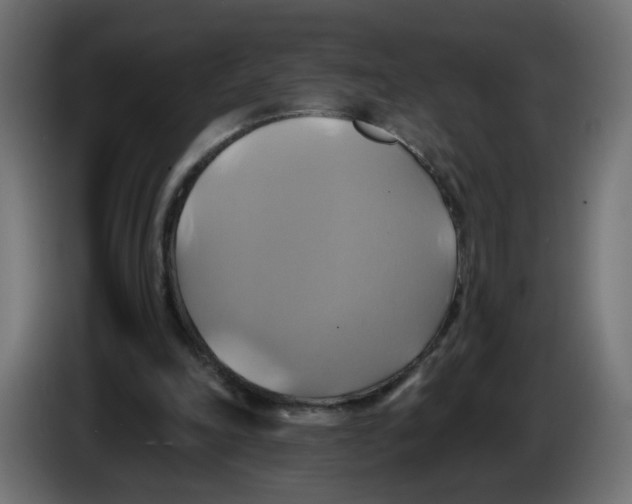 X0000086020198200704131857