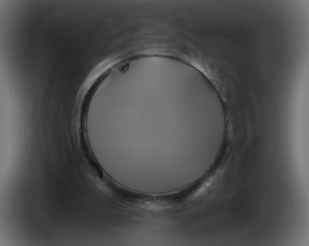 X0000086020199200704131857