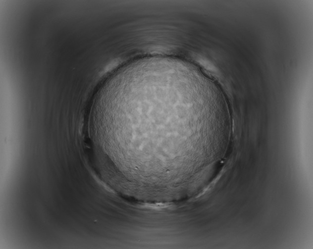X0000086020201200704131857
