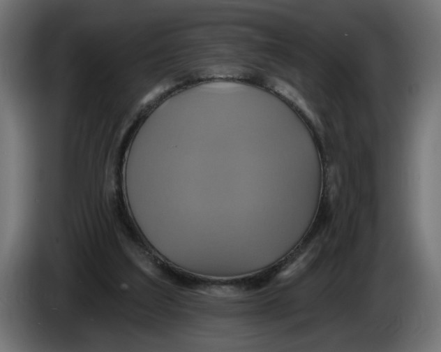 X0000086020203200704131857