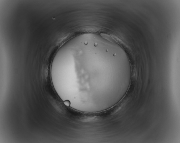 X0000086020206200704131857