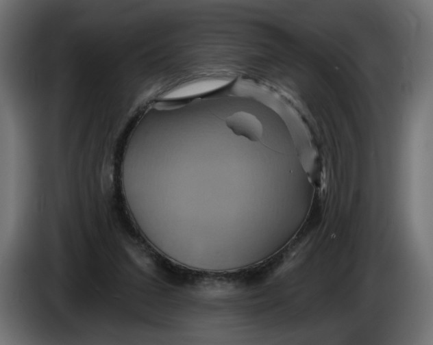 X0000086020207200704131857