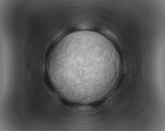 X0000086020210200704131857