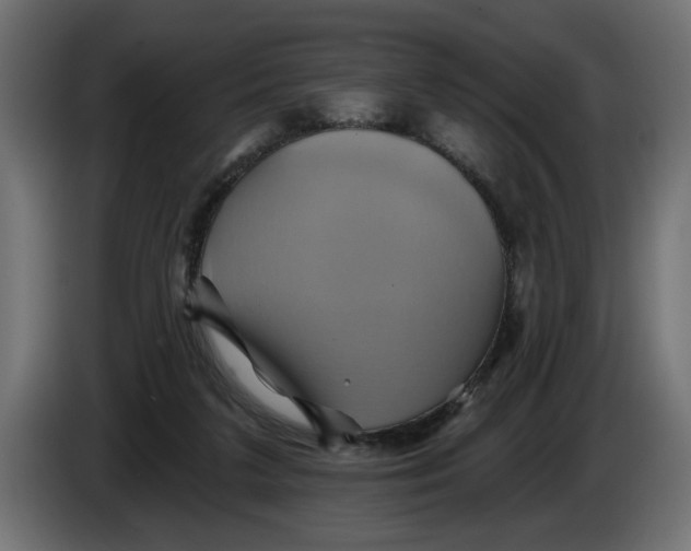 X0000086020211200704131857