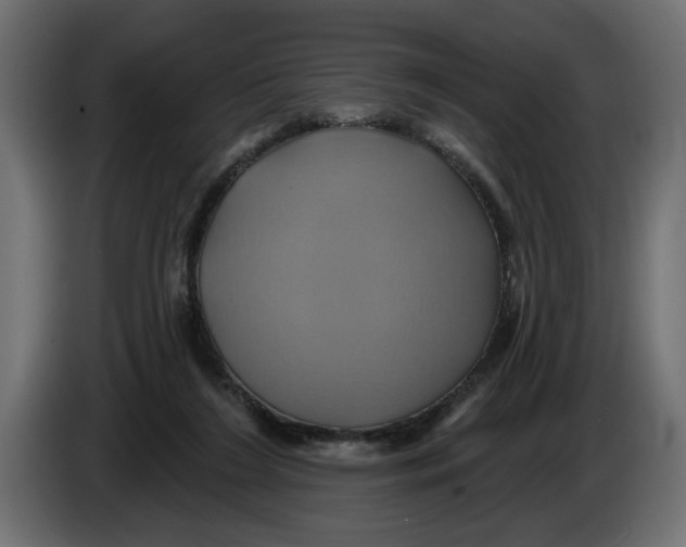X0000086020212200704131857