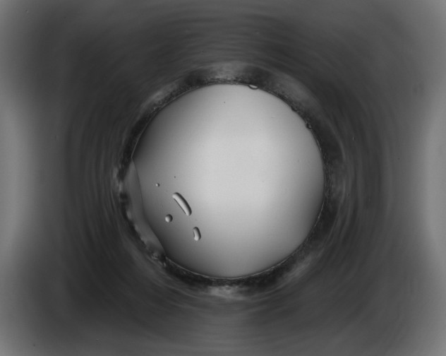 X0000086020216200704131857
