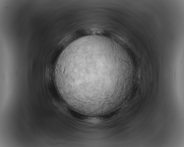 X0000086020218200704131857
