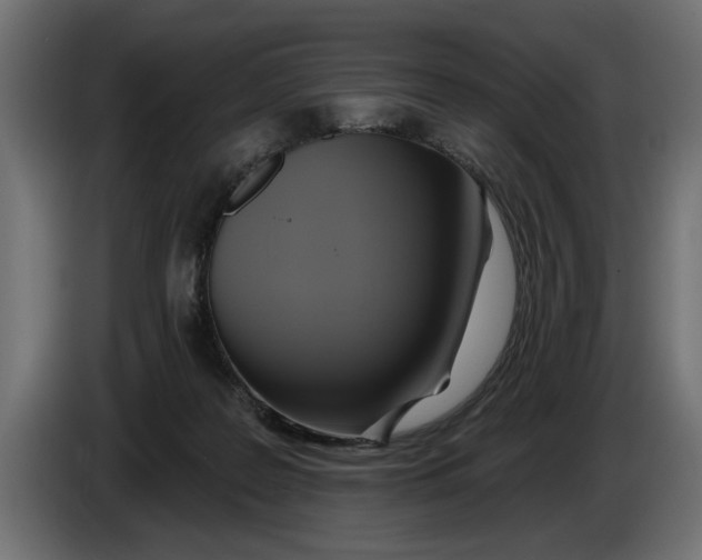 X0000086020219200704131857