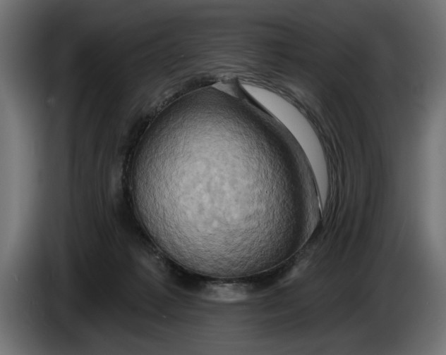 X0000086020221200704131857
