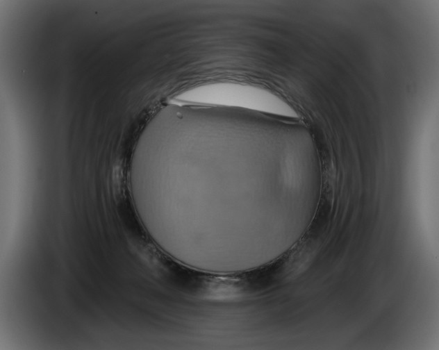 X0000086020222200704131857