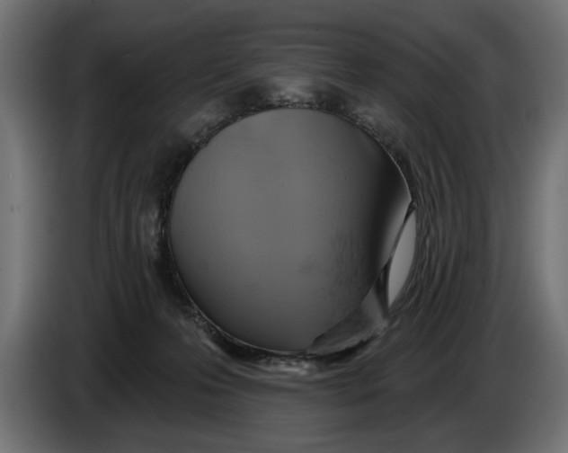 X0000086020223200704131857
