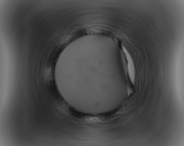 X0000086020224200704131857