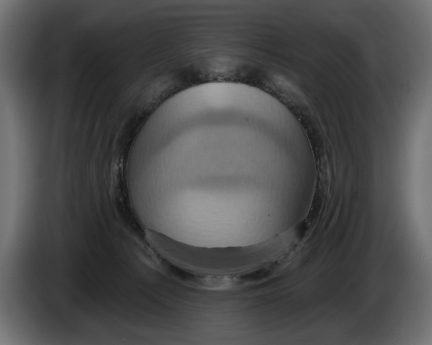 X0000086020225200704131857