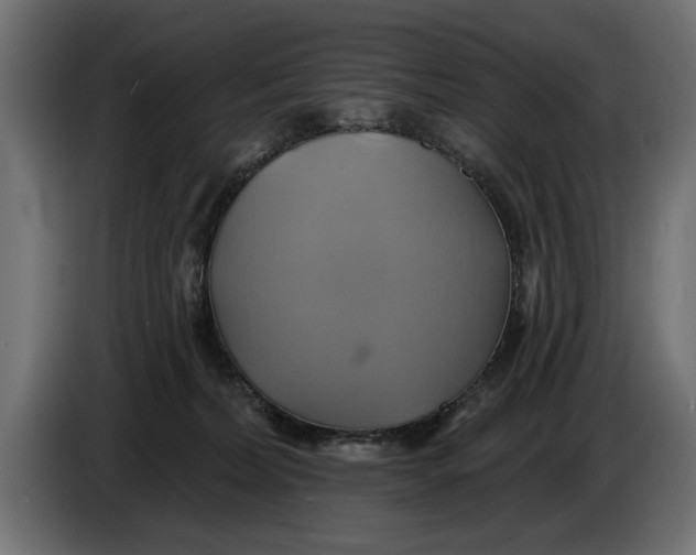 X0000086020228200704131857