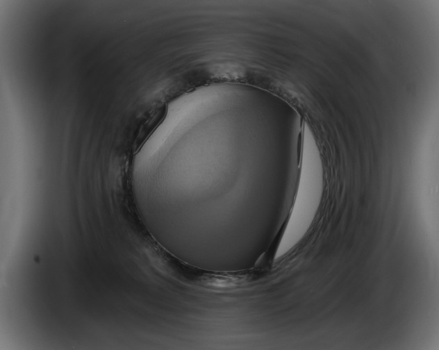 X0000086020229200704131857