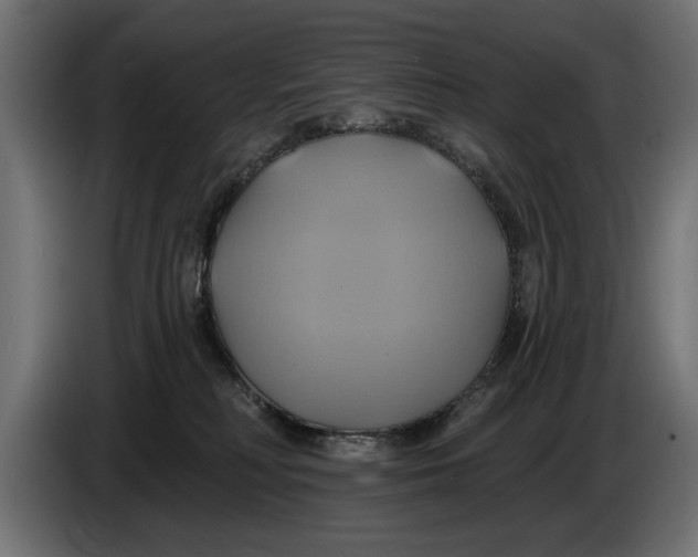 X0000086020230200704131857