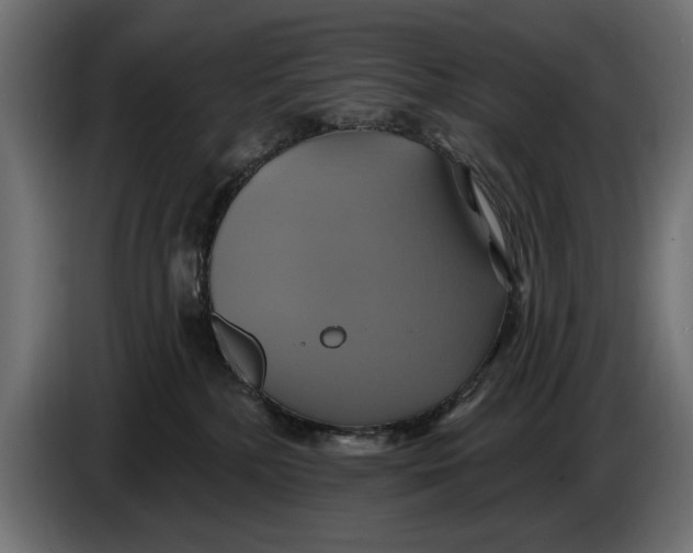 X0000086020232200704131857